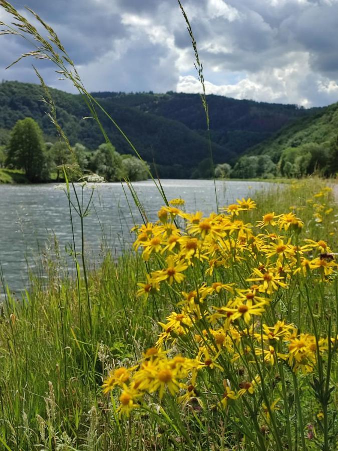 Entre Meuse Et Foret Revin Kültér fotó