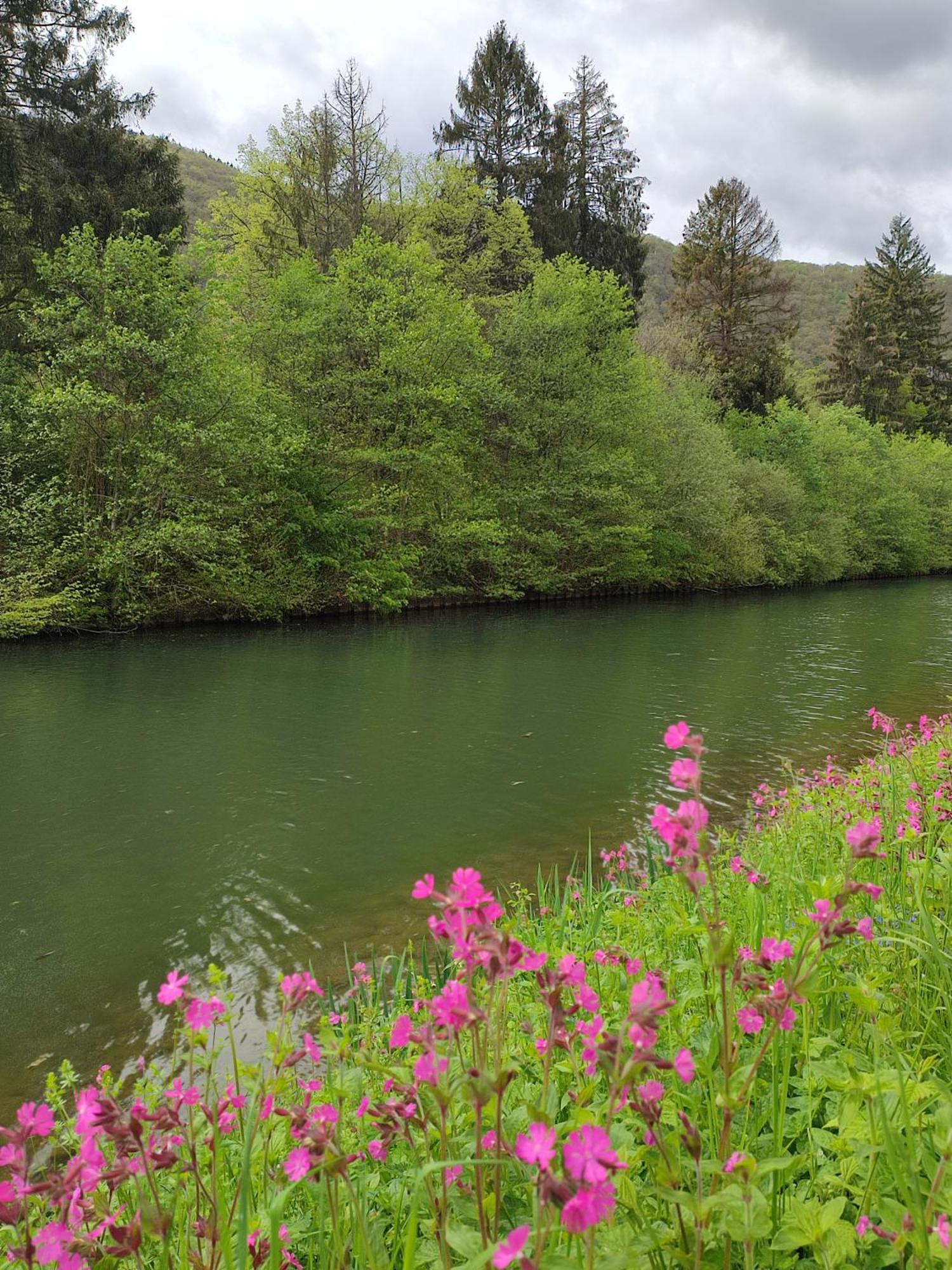 Entre Meuse Et Foret Revin Kültér fotó