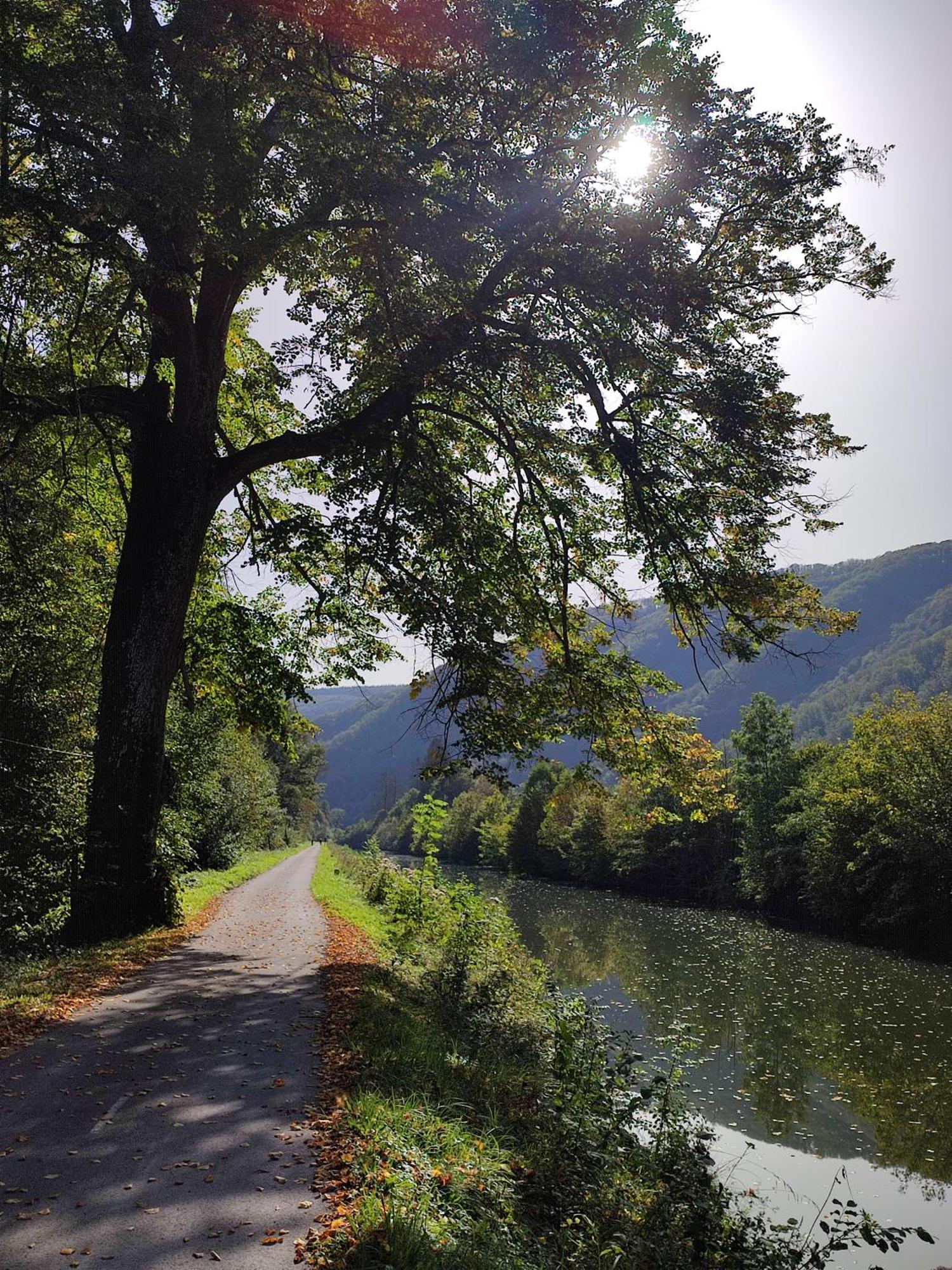 Entre Meuse Et Foret Revin Kültér fotó